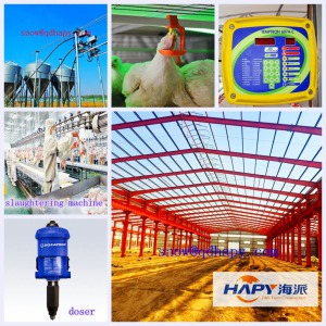 Poultry House Equipment with Steel Construction in Low Price
