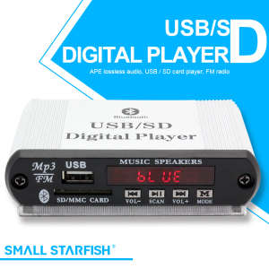 MP3 Onboard Fixed Audio Decoder- (JR-101)