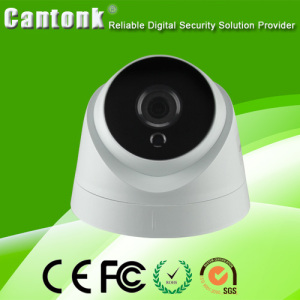 Ahd/Cvi/Tvi/Cvbs 1080P HD Network Mini IR Dome CCTV WDR IP Camera (TH20)