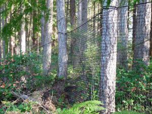 Deer Fence Net Stretch Net